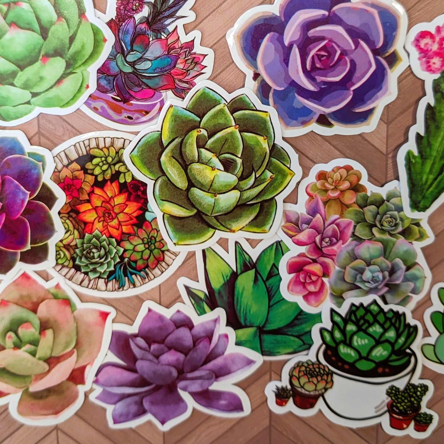 Vibrant Succulents Stickers, Variety - Durable, Waterproof, Vinyl - Set of 10 or 20 - Craft Supplies, Scrapbook Ephemera, Card Embellishments - 31 Rubies Designs